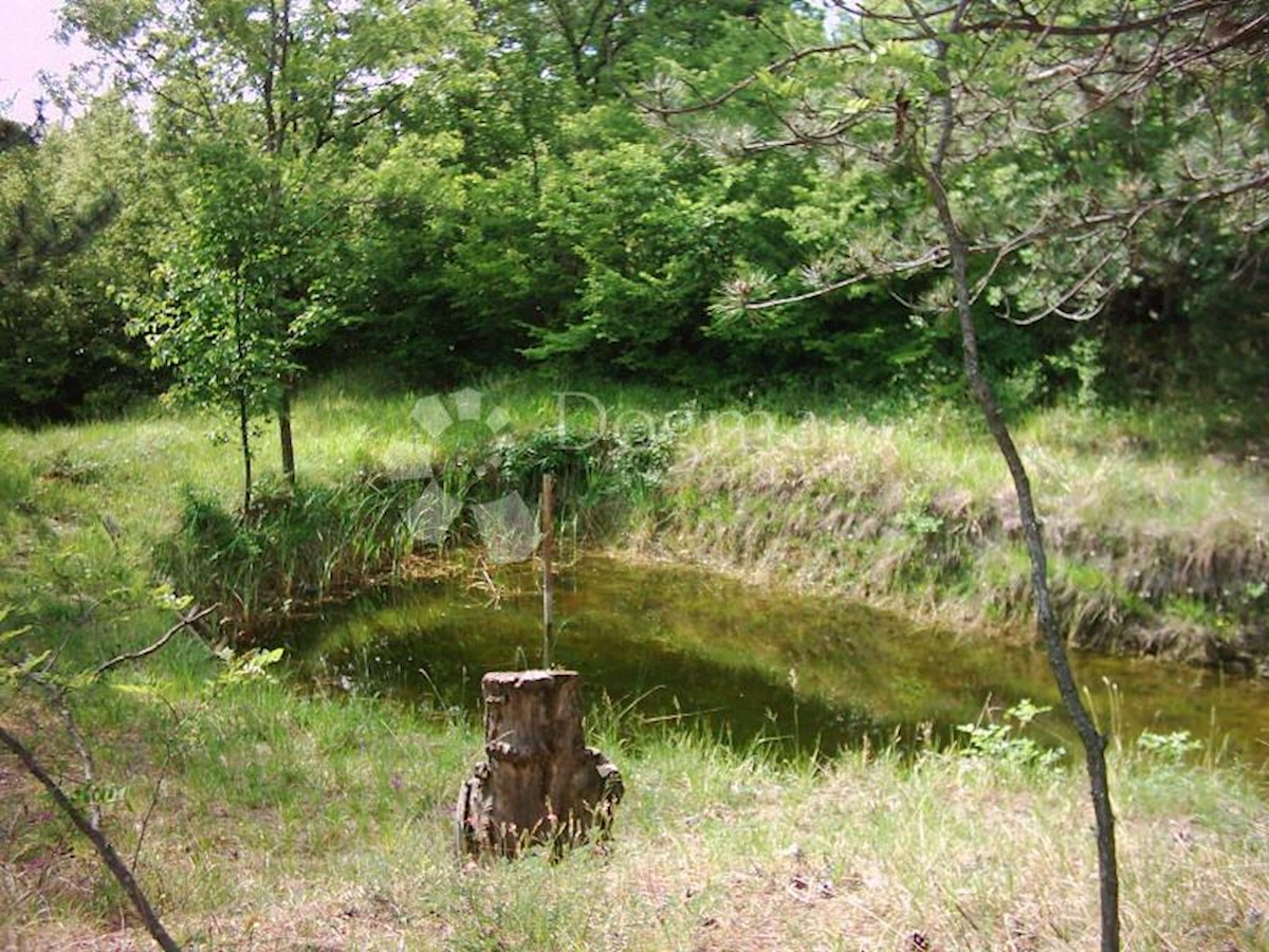 Terreno Lesišćina, Lupoglav, 83.294m2