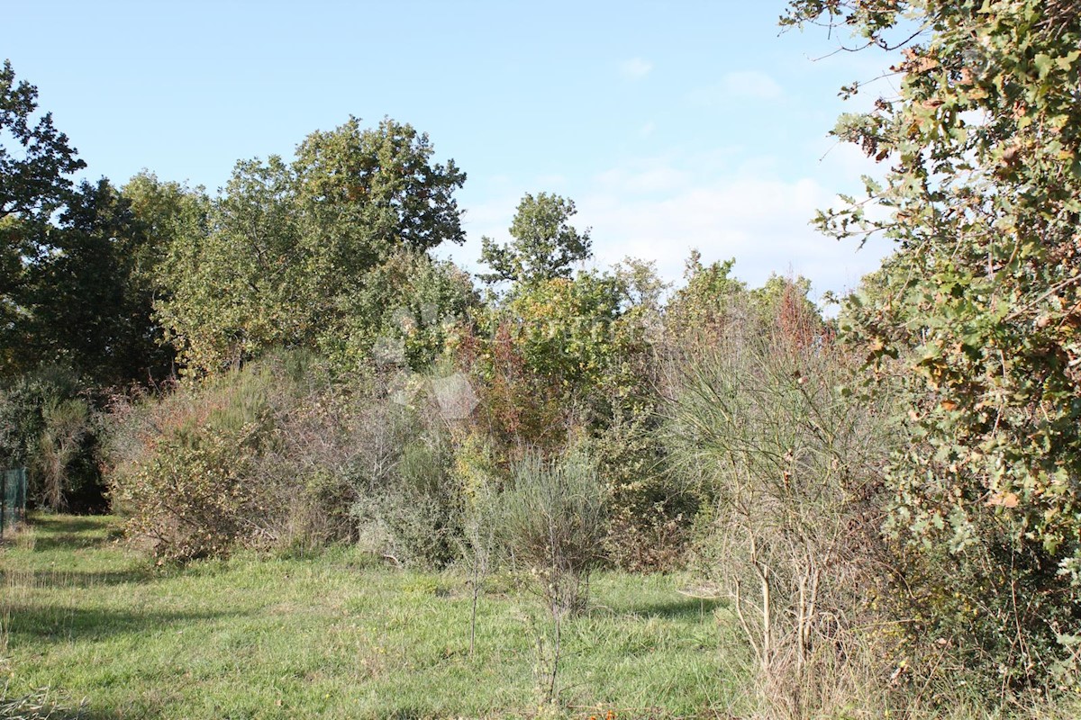 Terreno Barbariga, Vodnjan, 10.448m2