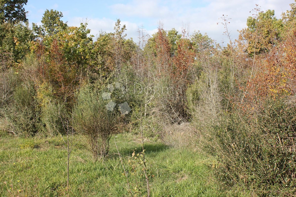 Terreno Barbariga, Vodnjan, 10.448m2