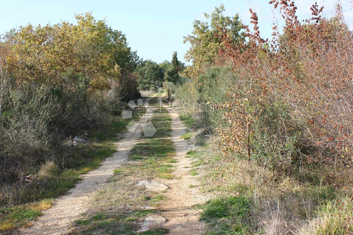 Terreno Barbariga, Vodnjan, 10.448m2