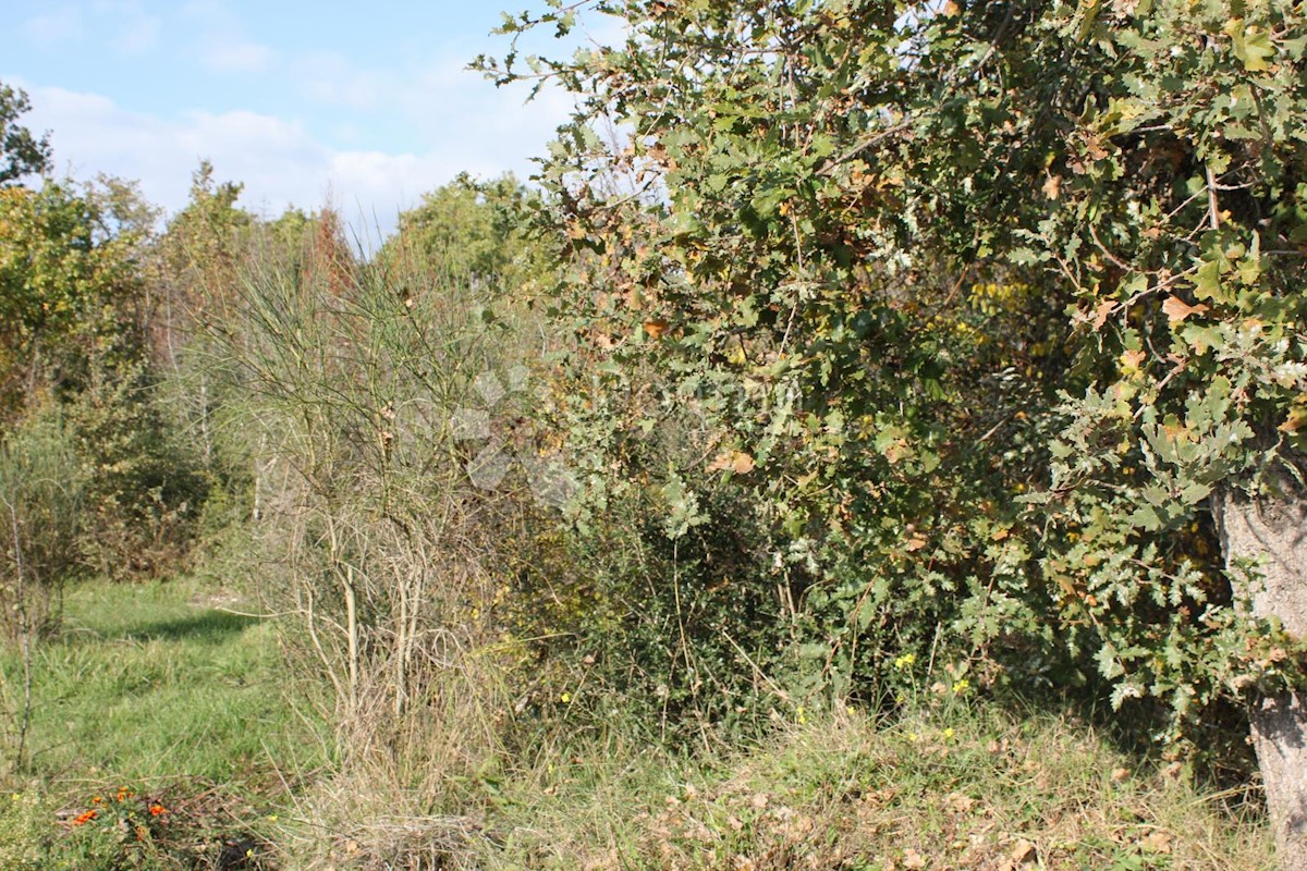 Terreno Barbariga, Vodnjan, 10.448m2