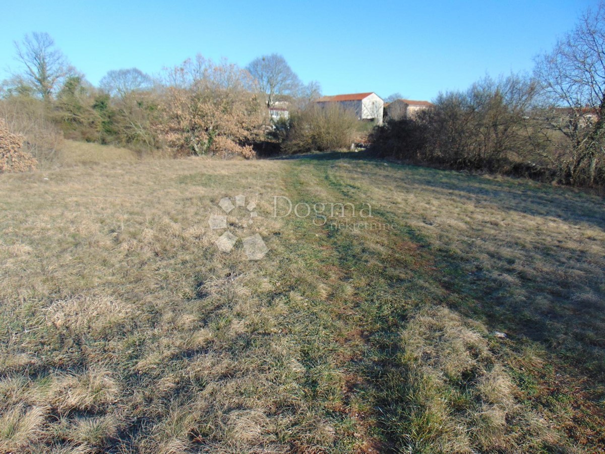 Terreno Lindar, Pazin - Okolica, 5.961m2