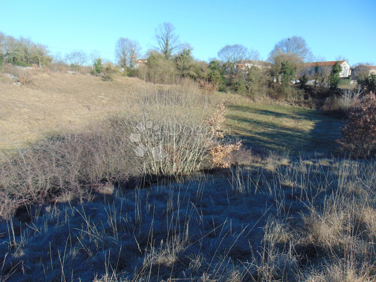 Terreno Lindar, Pazin - Okolica, 5.961m2