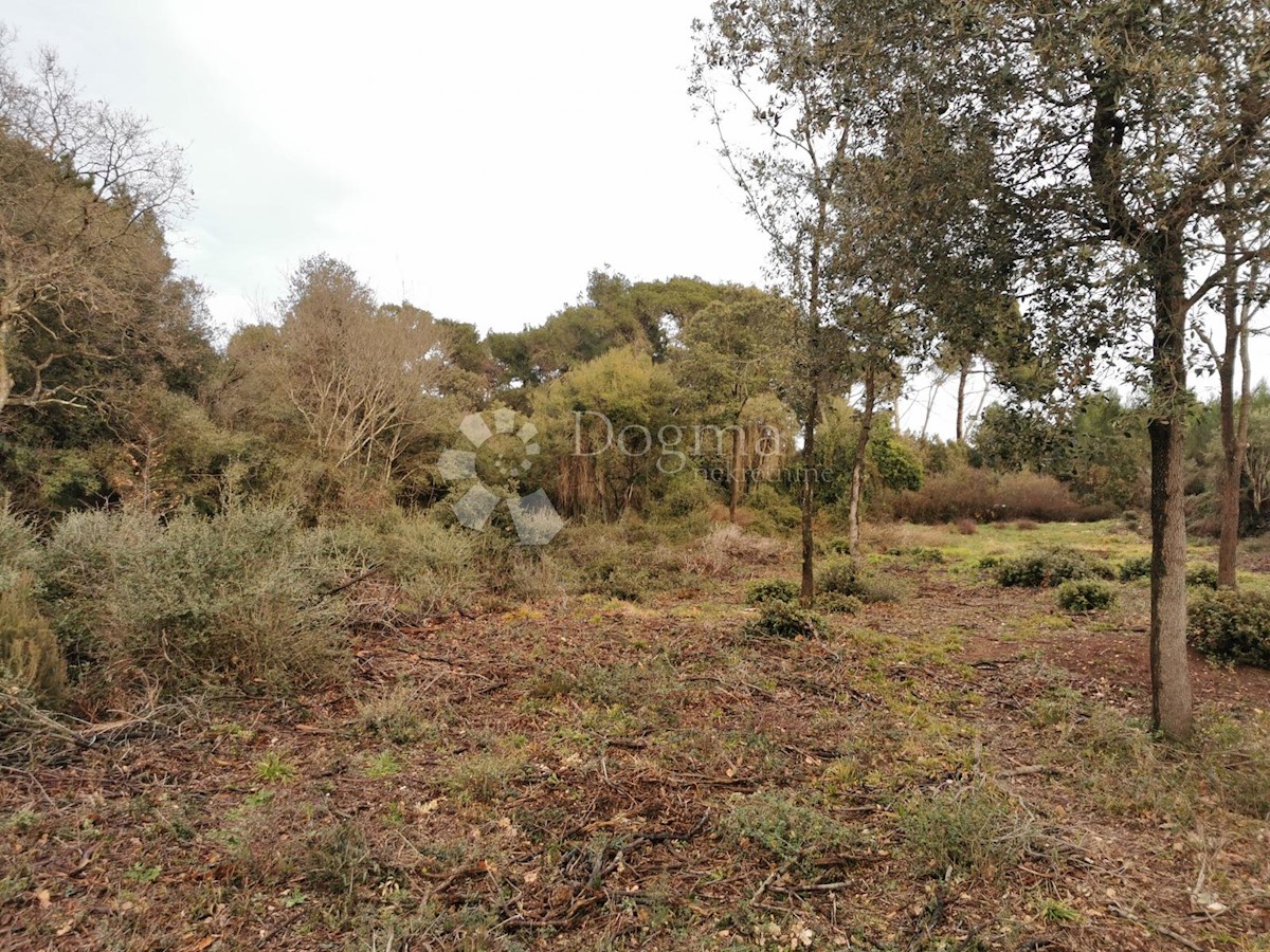 Terreno Medulin, 1.625m2