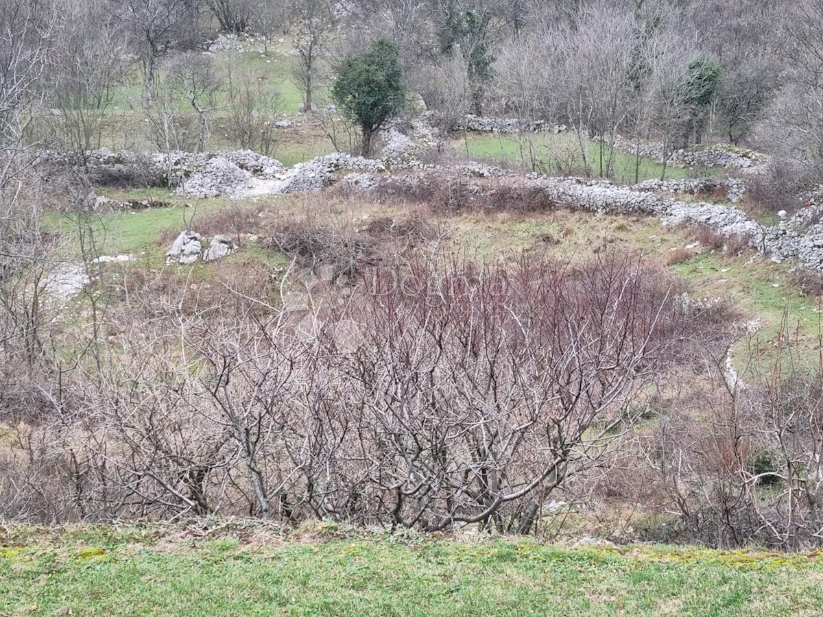 Terreno Grobnik, Čavle, 2.646m2