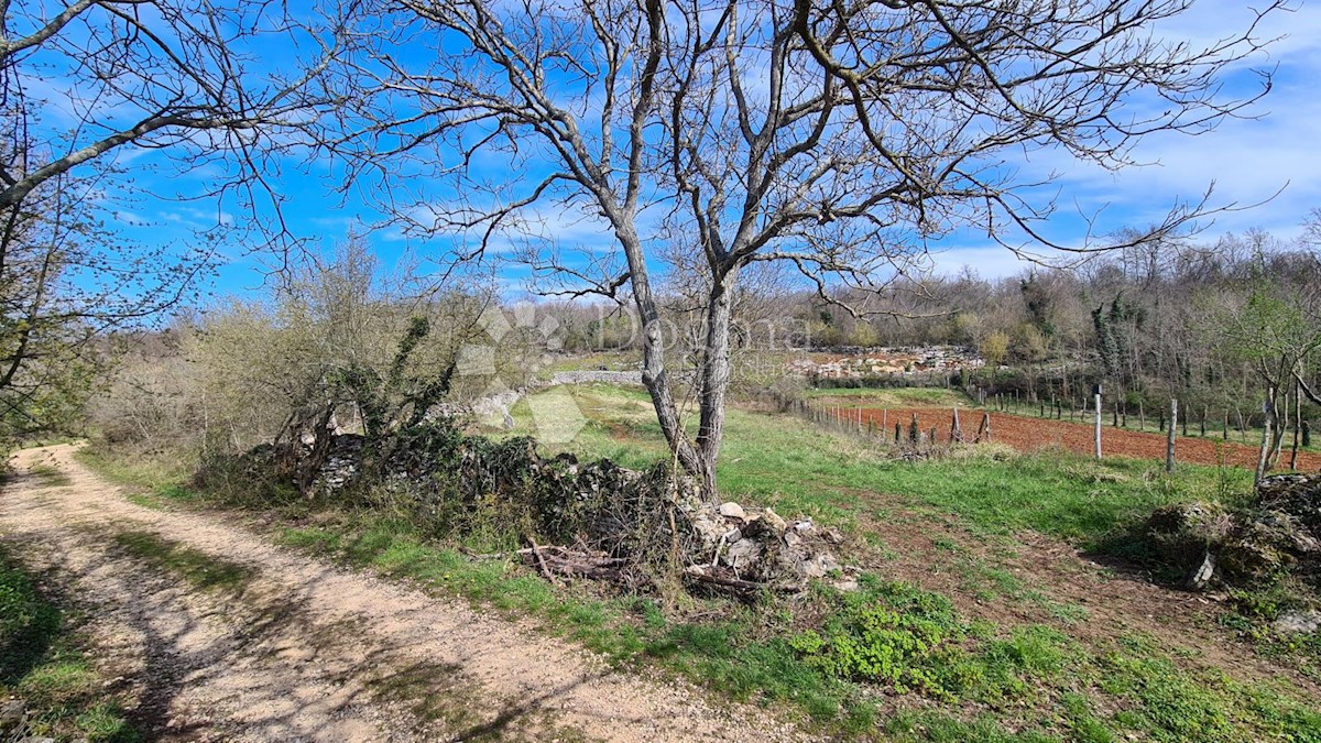 Terreno Završje, Grožnjan, 1.730m2