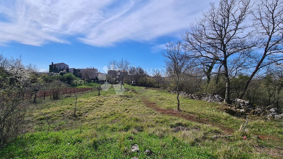 Terreno Završje, Grožnjan, 1.730m2