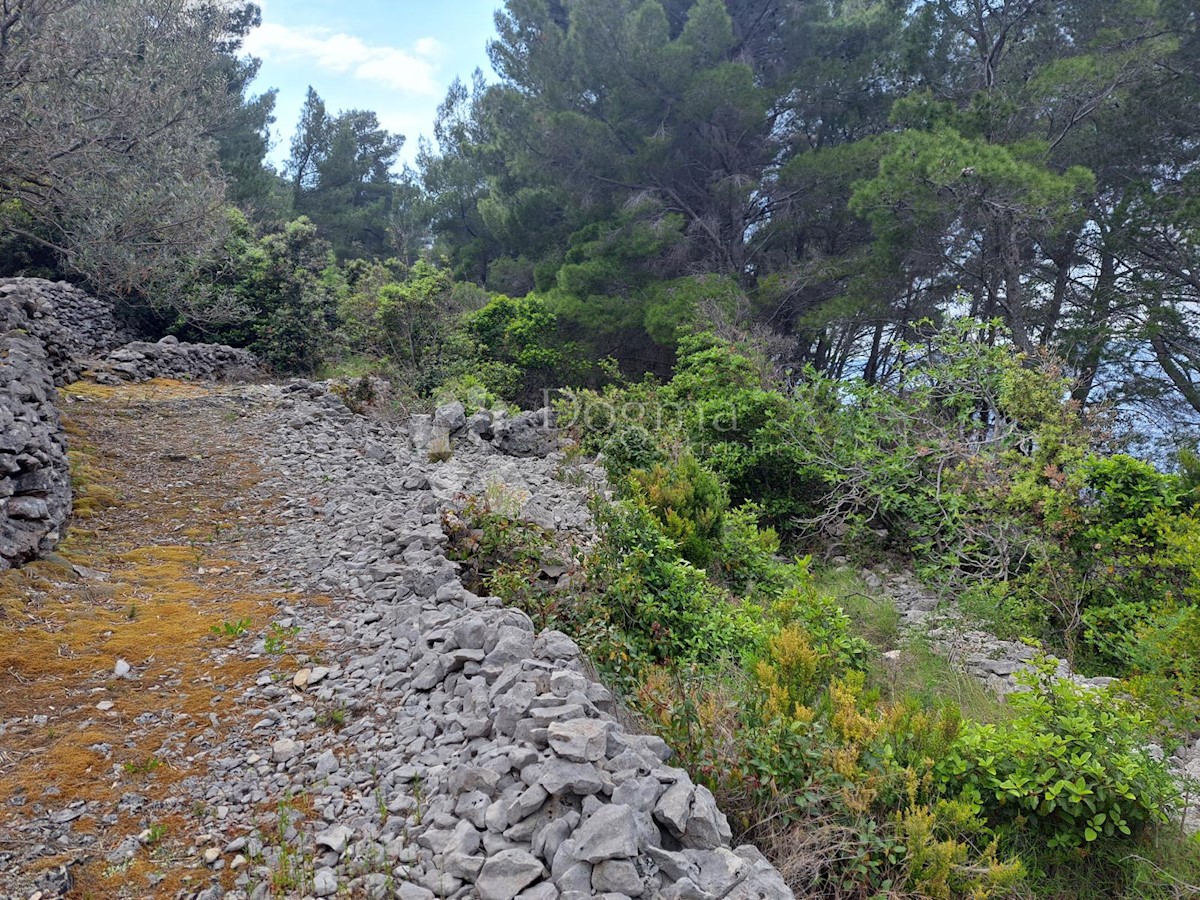 Terreno Korčula, 16.204m2