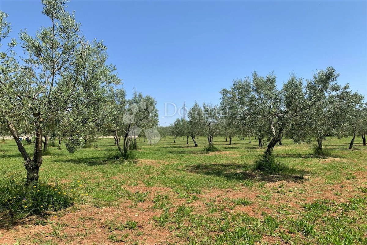 Terreno Rovinj, 5.046m2