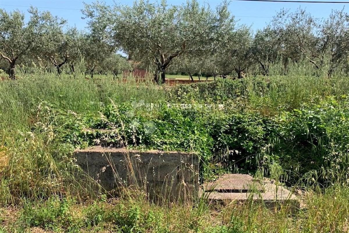 Terreno Rovinj, 5.046m2