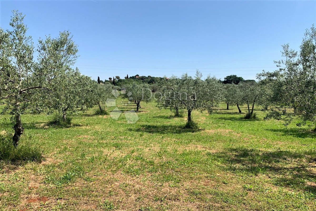 Terreno Rovinj, 5.046m2