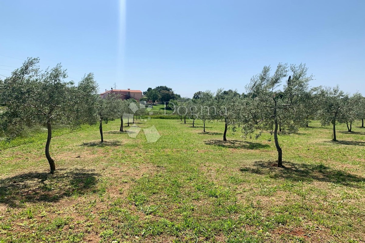 Terreno Rovinj, 5.046m2