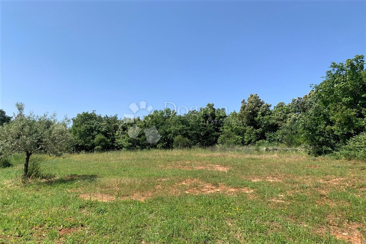 Terreno Rovinj, 5.046m2