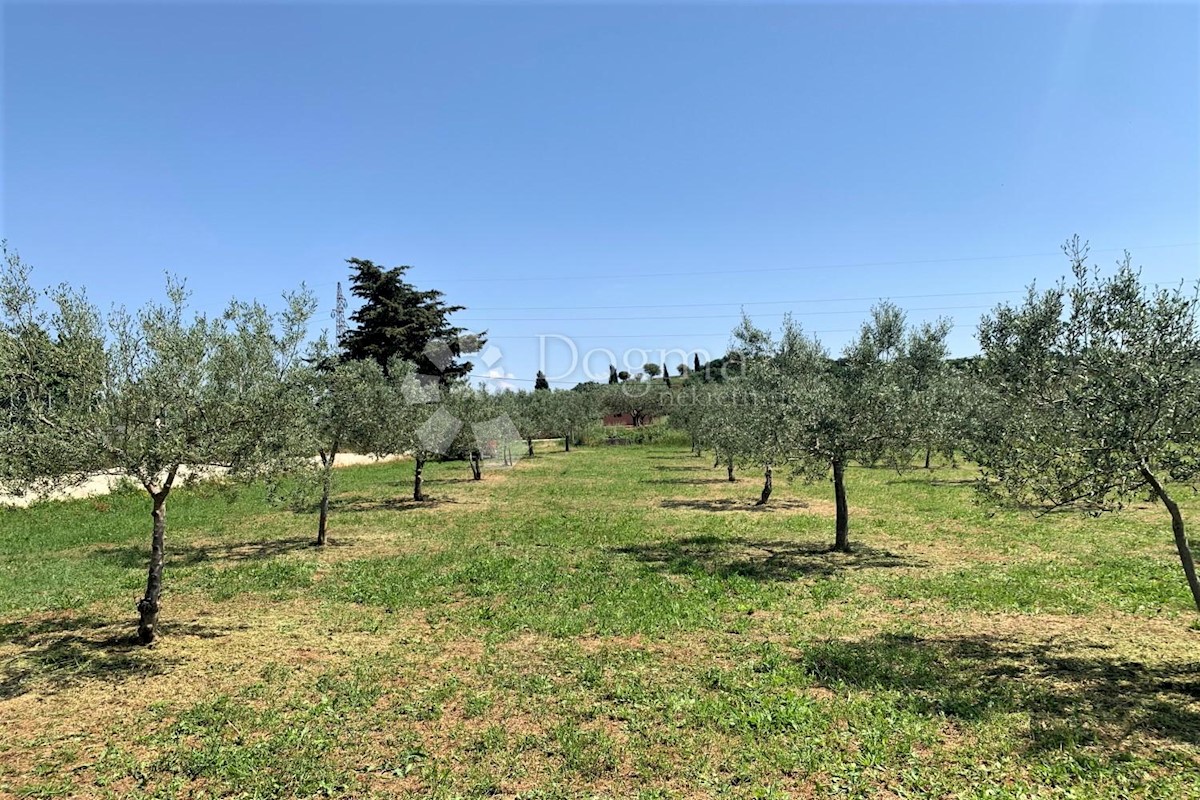 Terreno Rovinj, 5.046m2