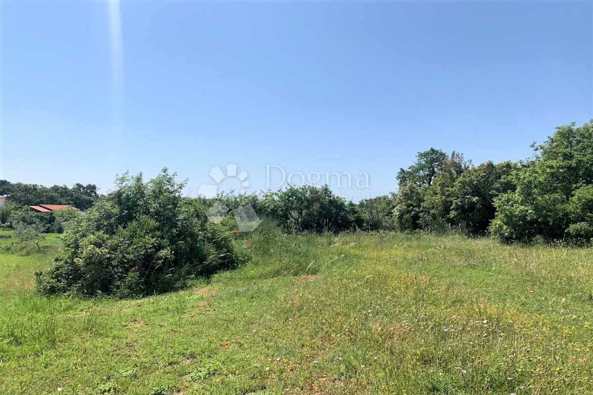 Terreno Rovinj, 5.046m2
