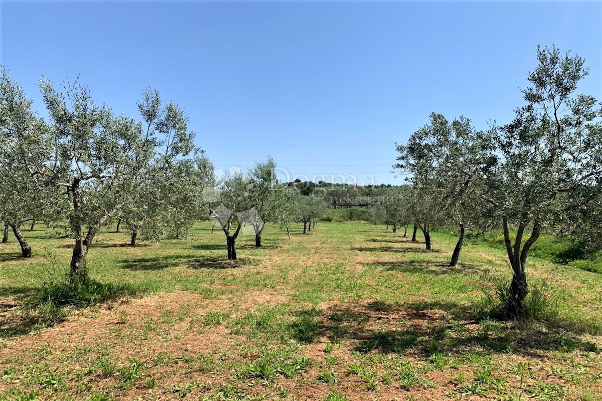 Terreno Rovinj, 5.046m2