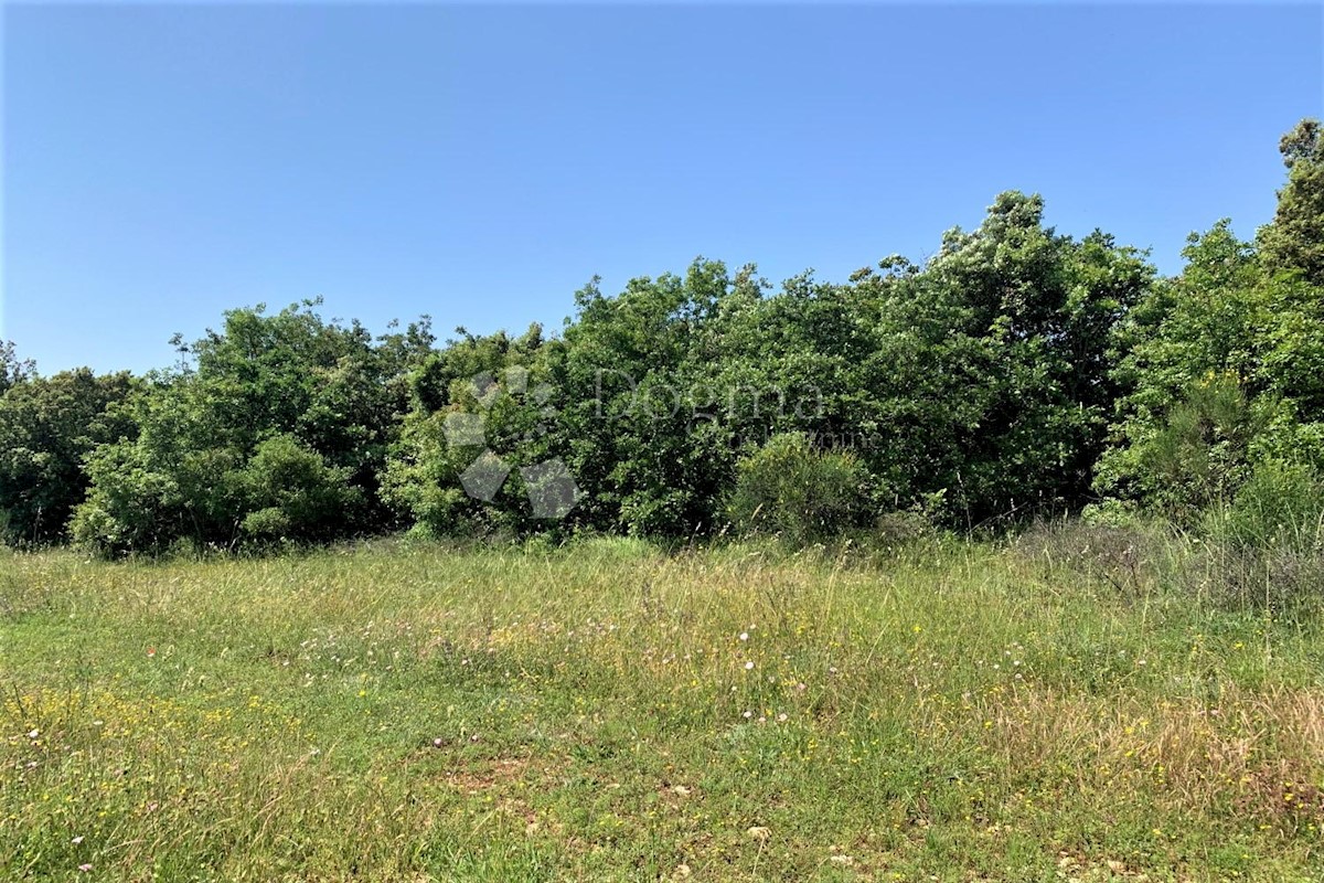 Terreno Rovinj, 5.046m2