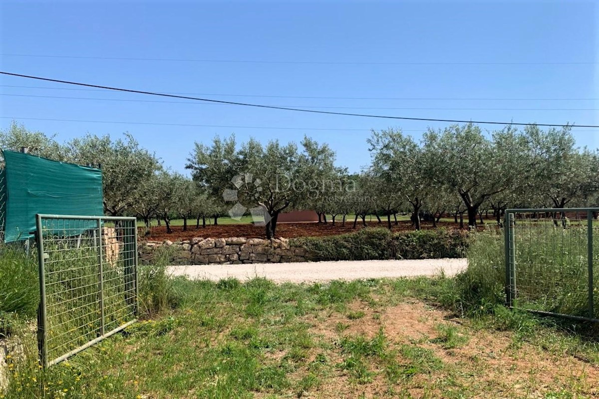 Terreno Rovinj, 5.046m2