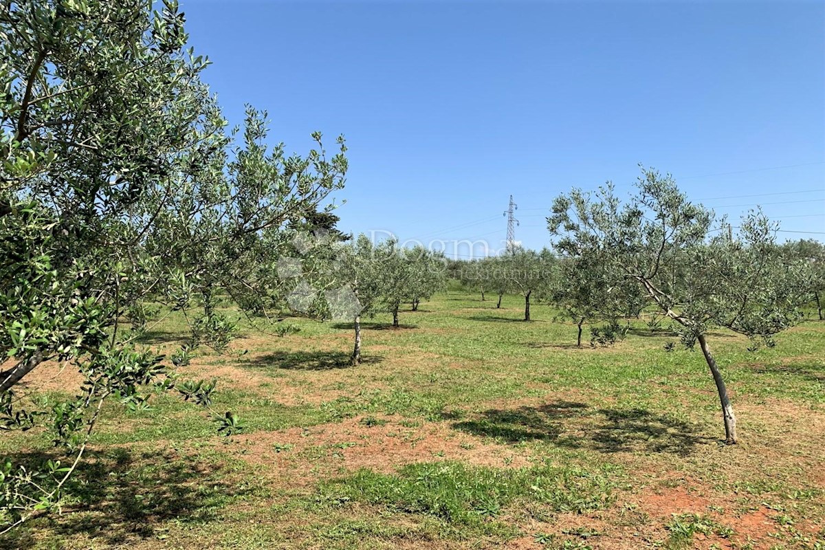 Terreno Rovinj, 5.046m2