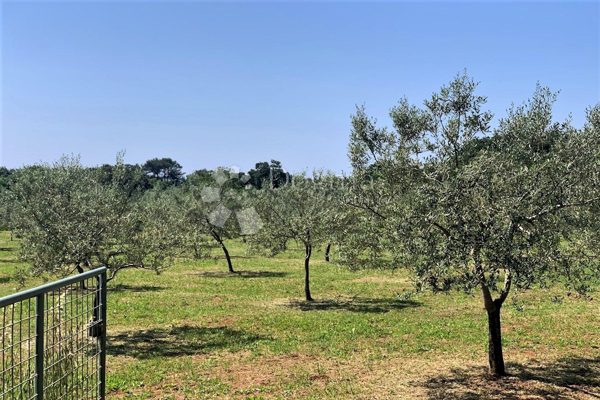 Terreno Rovinj, 5.046m2