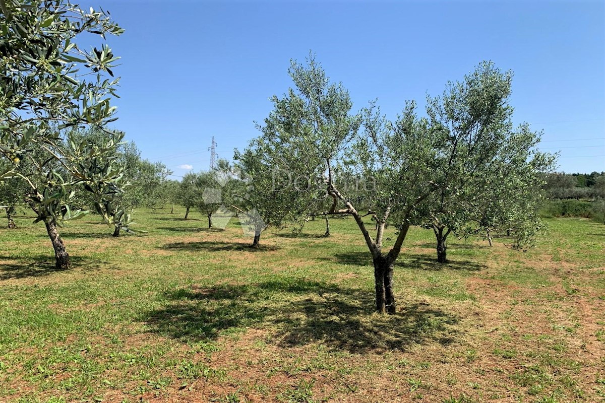 Terreno Rovinj, 5.046m2