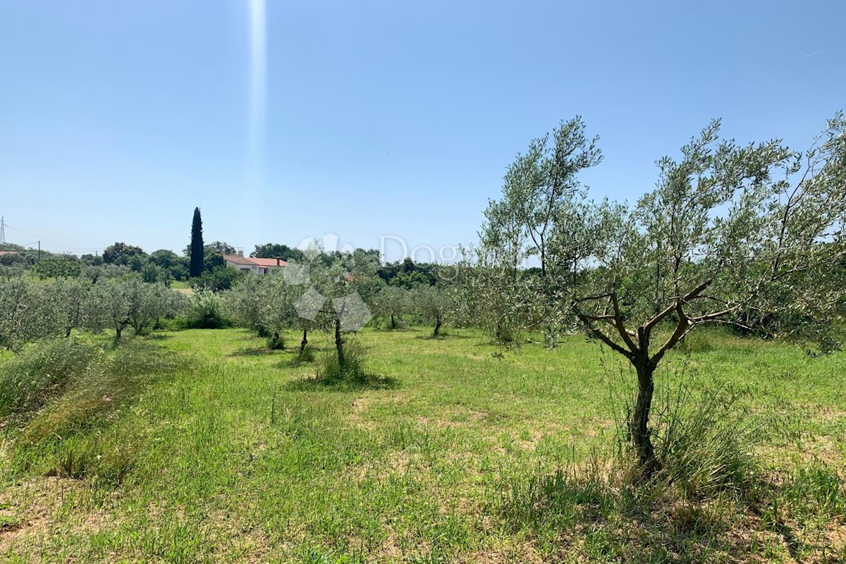 Terreno Rovinj, 5.046m2