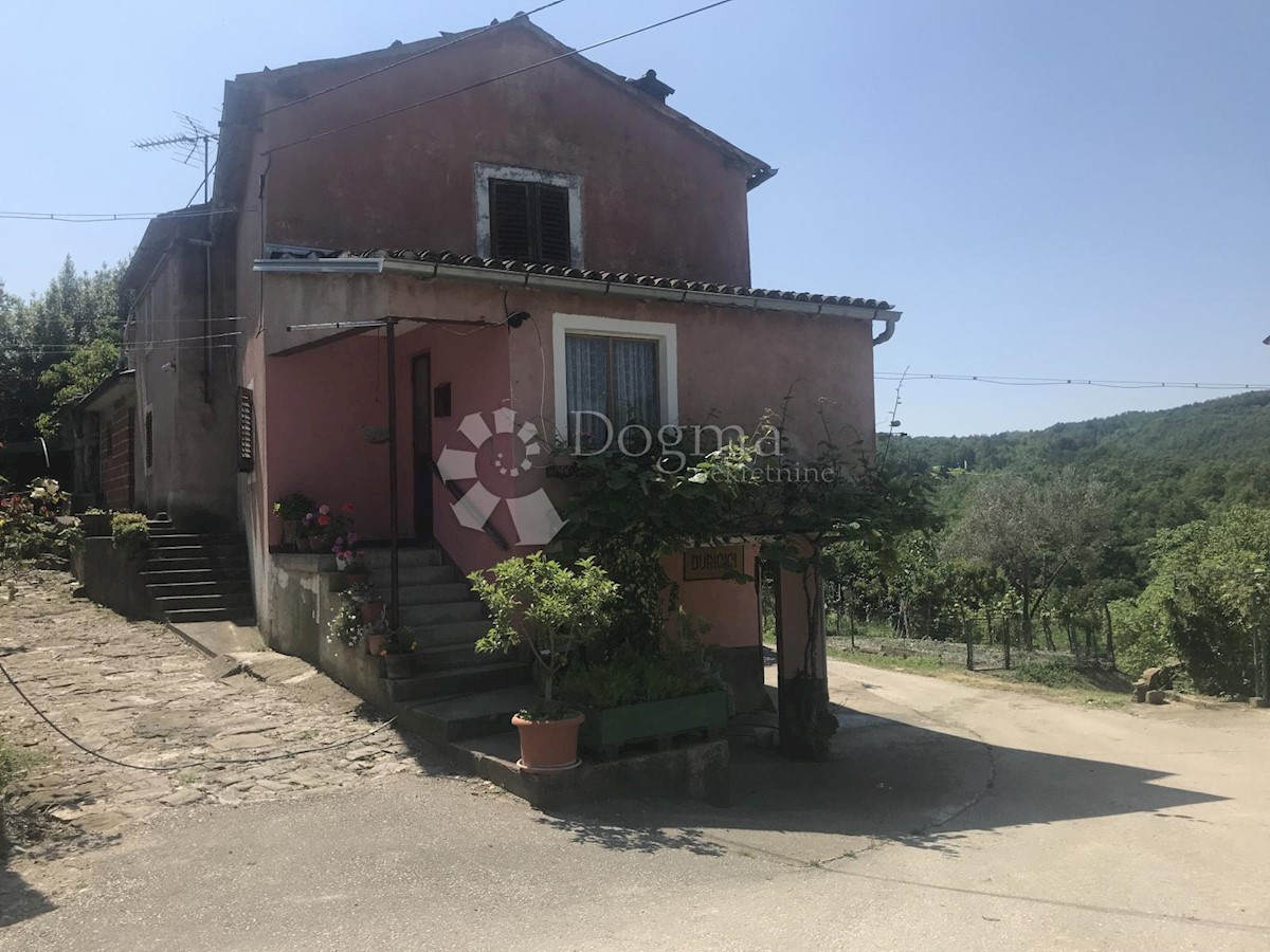 Casa Duričići, Buzet, 300m2