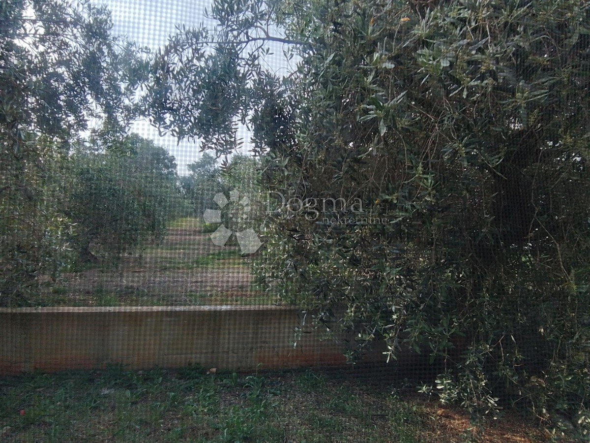 Allogio Fažana, 77,59m2