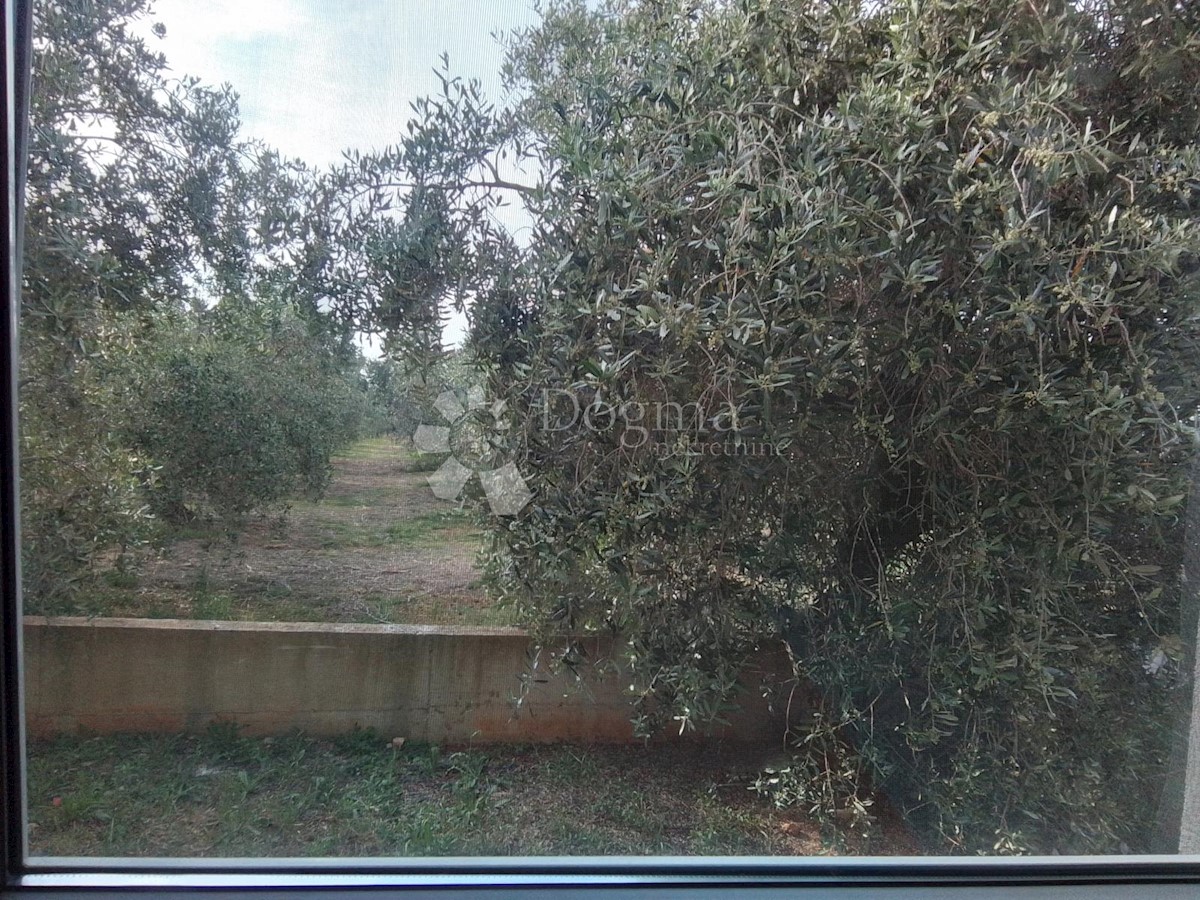 Allogio Fažana, 77,59m2