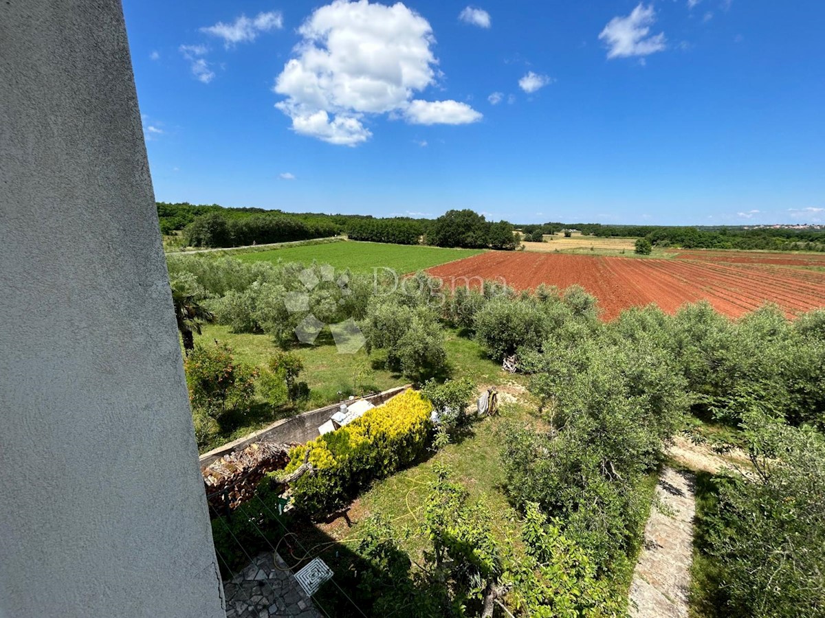 Casa Juricani, Umag, 600m2