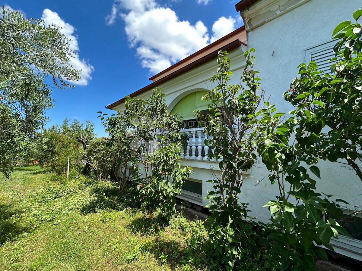 Casa Juricani, Umag, 600m2