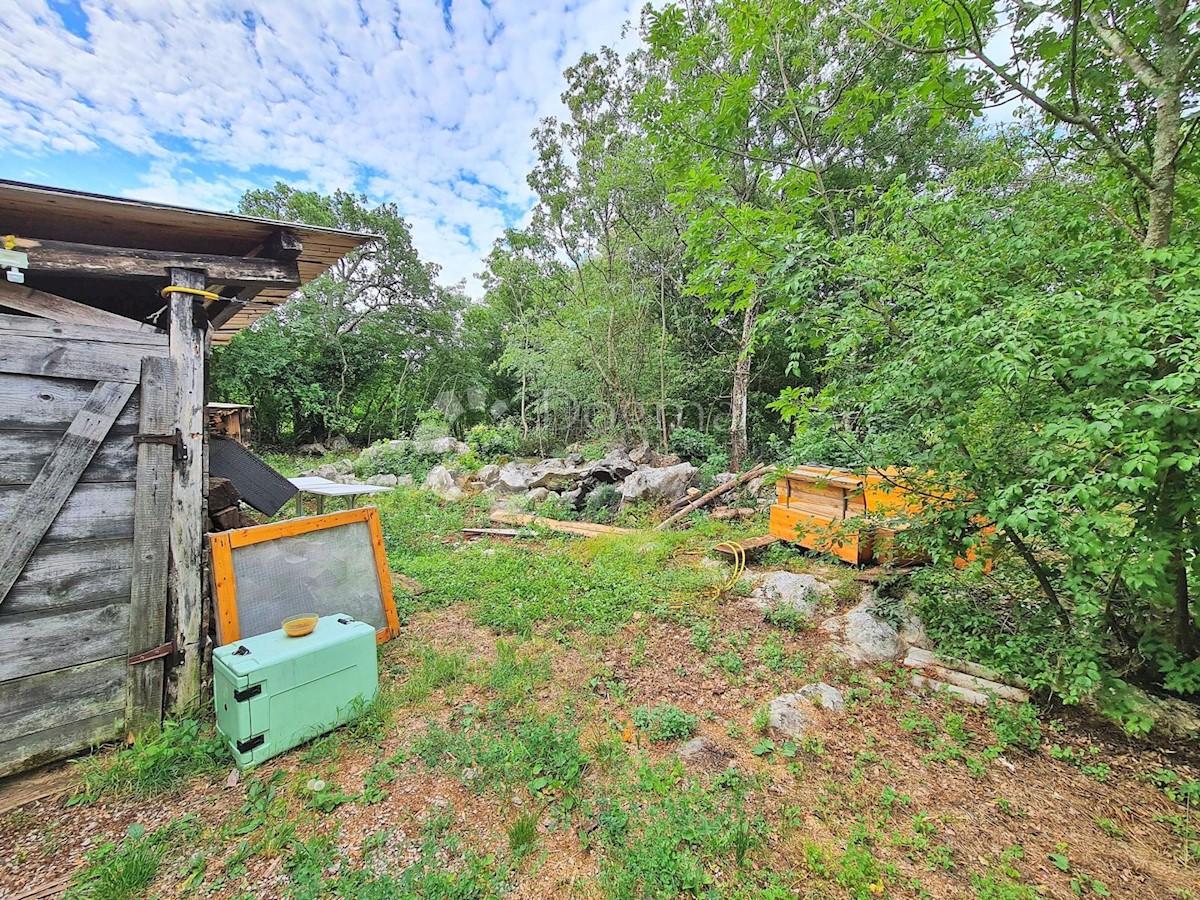 Casa Hum, Buzet, 400m2