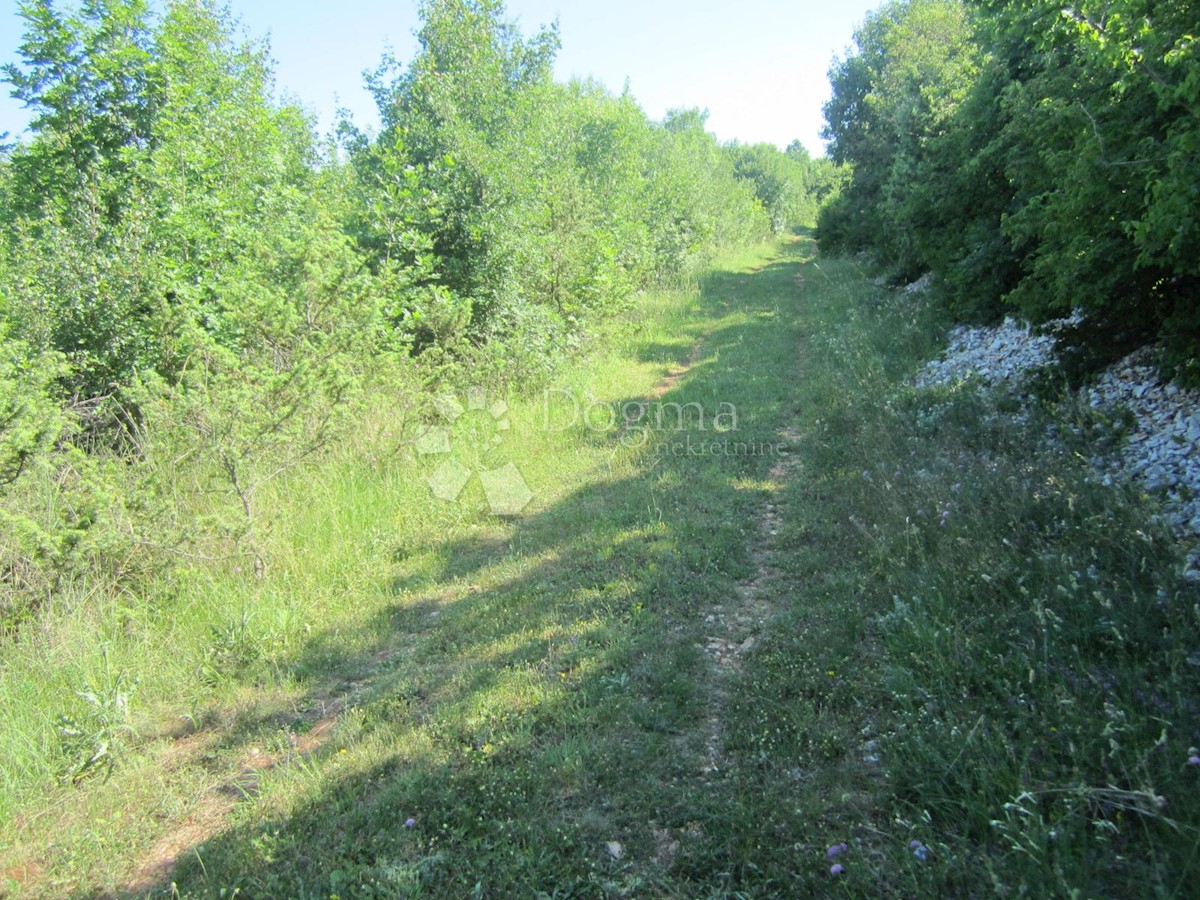 Terreno Rakalj, Marčana, 12.000m2