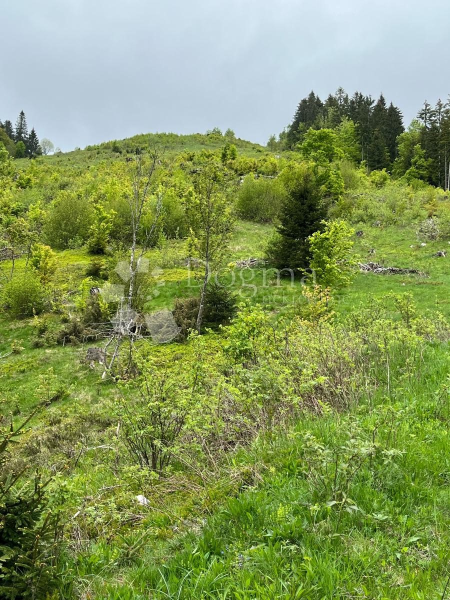 Terreno Sunger, Mrkopalj, 6.000m2