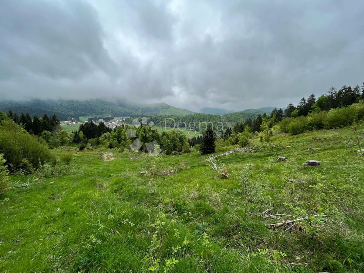 Terreno Sunger, Mrkopalj, 6.000m2