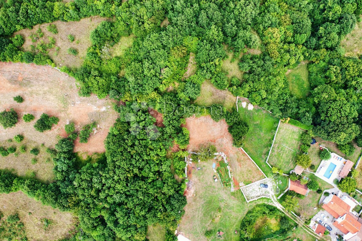 Terreno Barban, 5.448m2