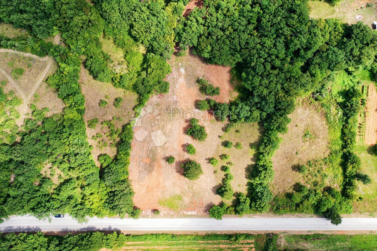 Terreno Barban, 5.448m2