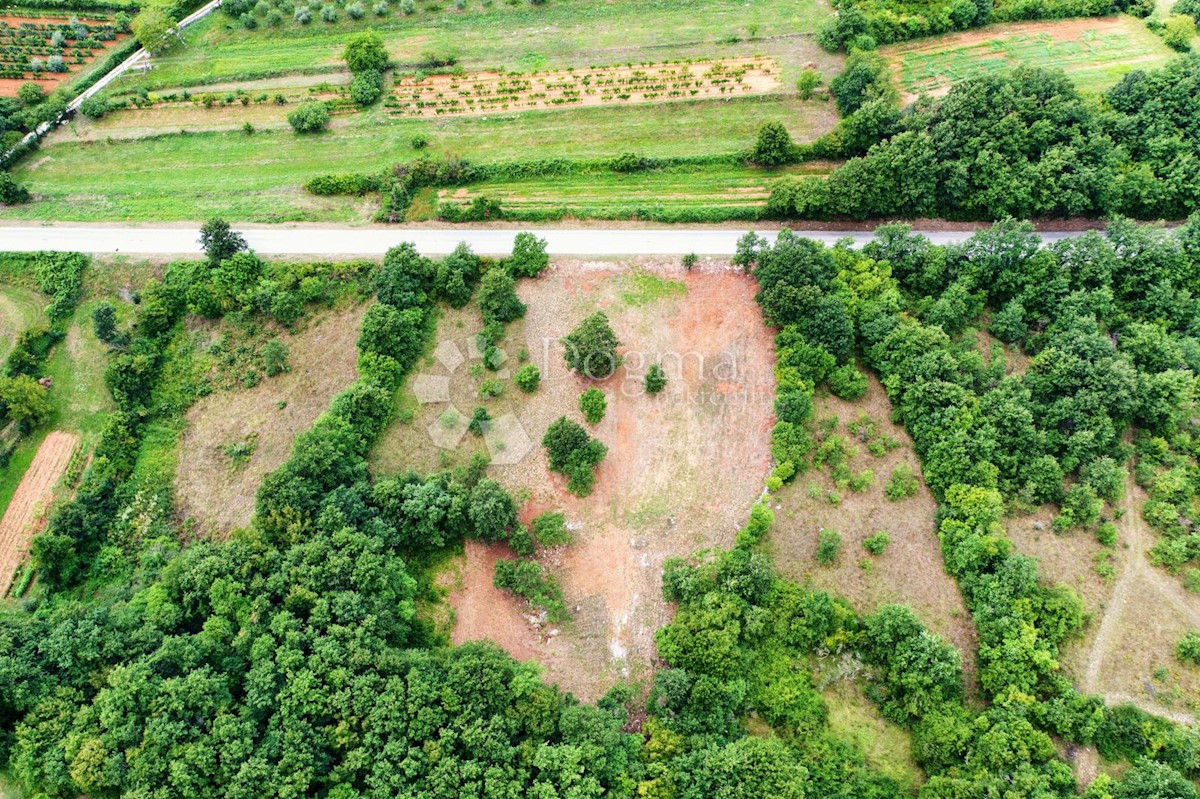 Terreno Barban, 5.448m2