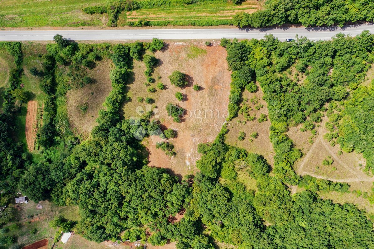 Terreno Barban, 5.448m2