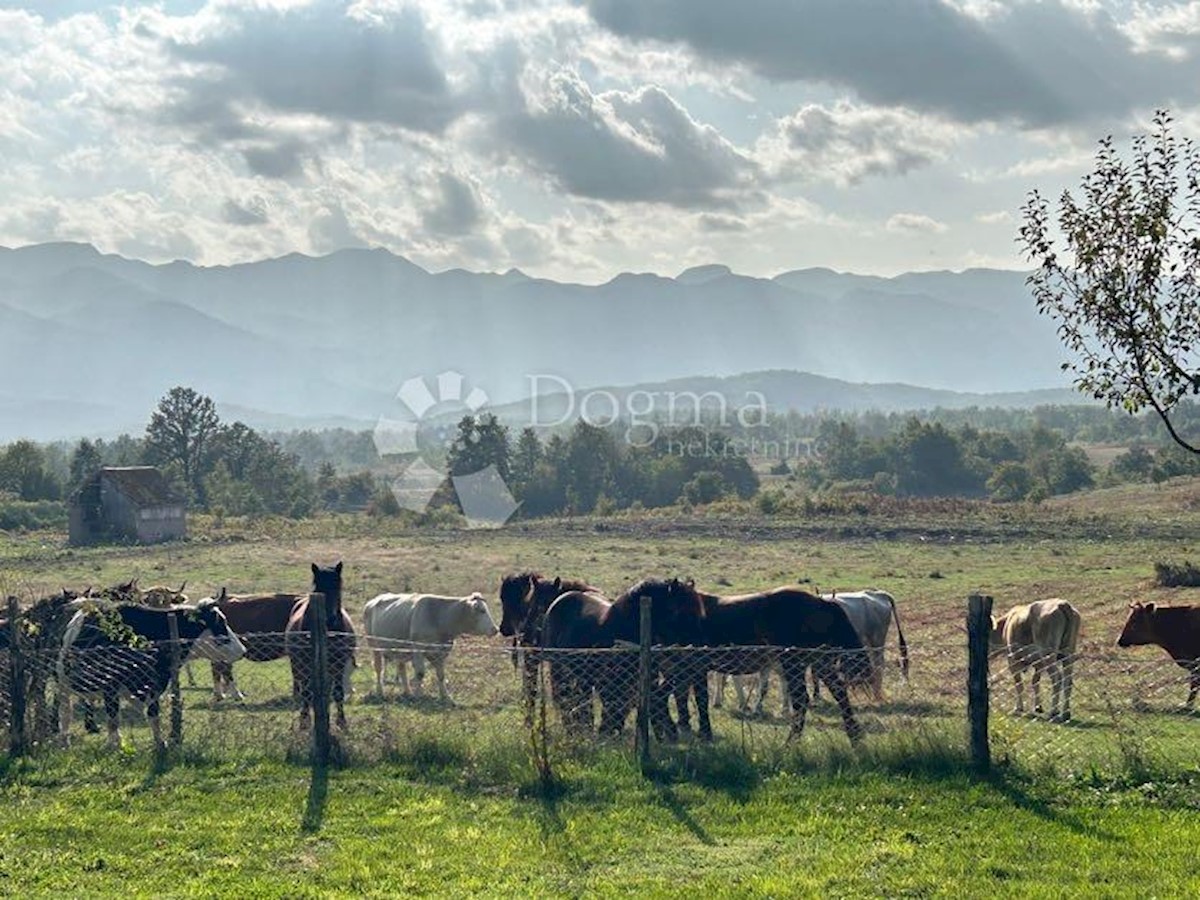 Casa Drenovac Radučki, Gospić - Okolica, 100m2