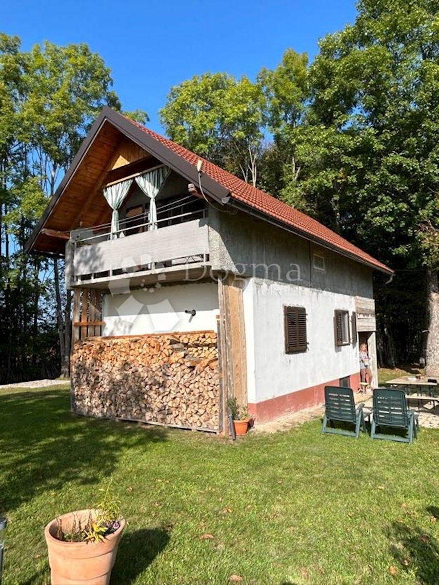 Casa Drenovac Radučki, Gospić - Okolica, 100m2