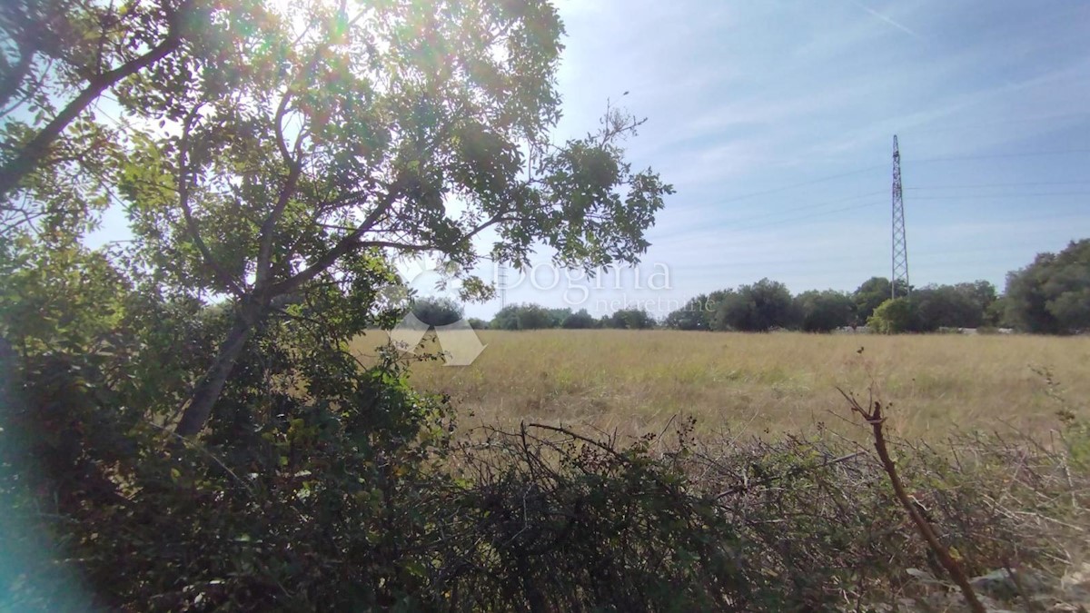 Terreno Peroj, Vodnjan, 9.893m2