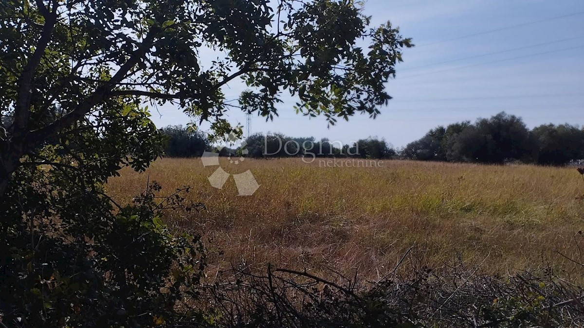 Terreno Peroj, Vodnjan, 9.893m2