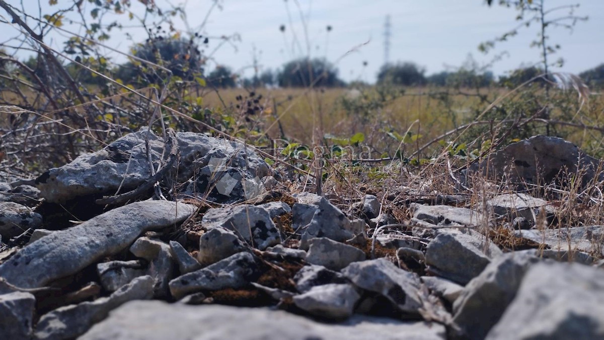 Terreno Peroj, Vodnjan, 9.893m2