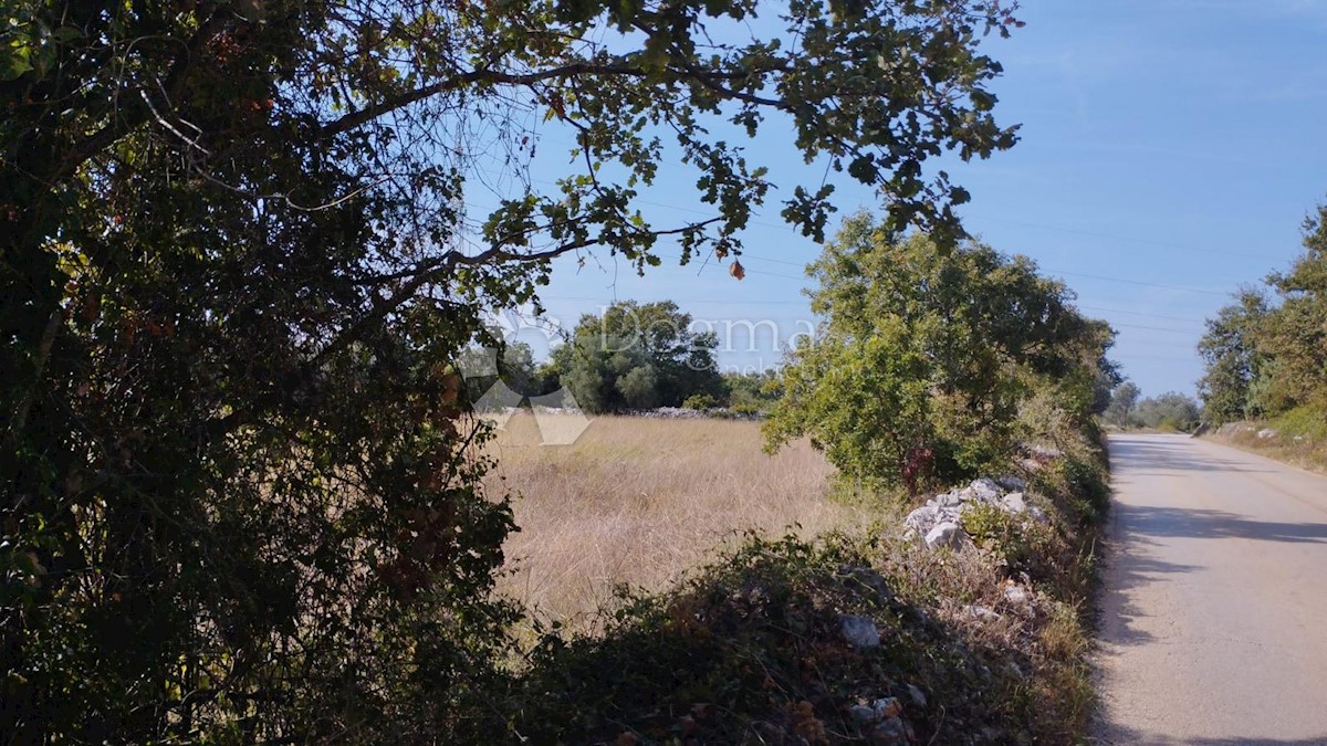 Terreno Peroj, Vodnjan, 9.893m2