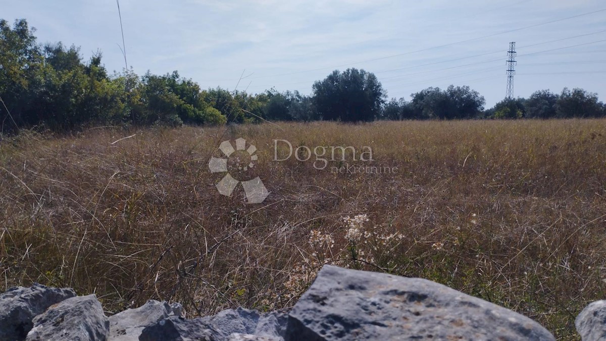 Terreno Peroj, Vodnjan, 9.893m2