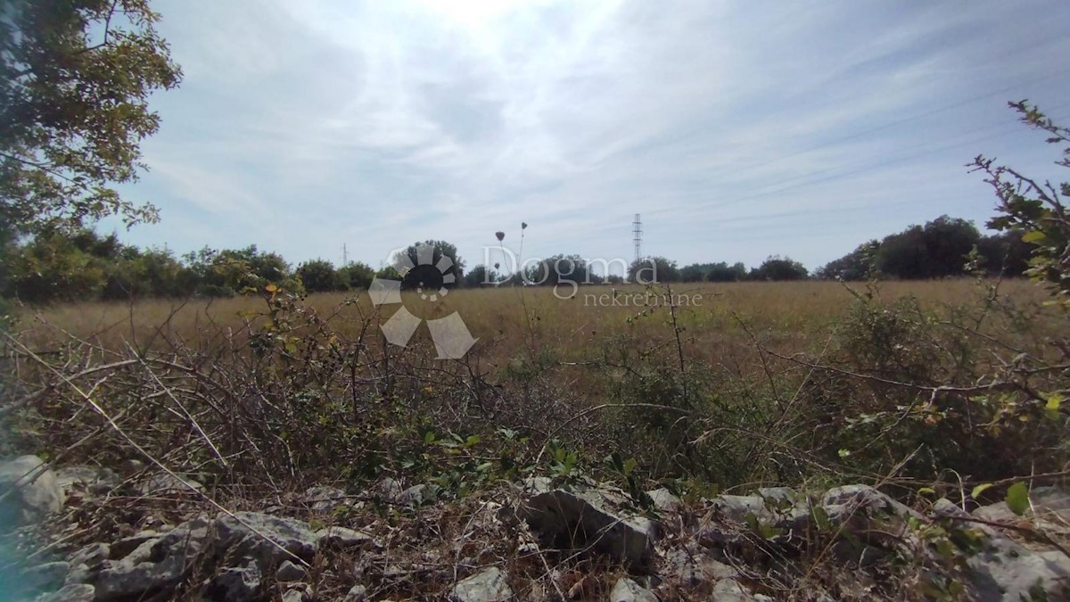 Terreno Peroj, Vodnjan, 9.893m2