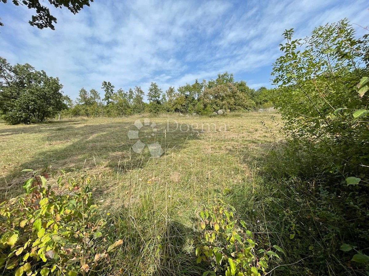 Terreno Šajini, Barban, 3.963m2