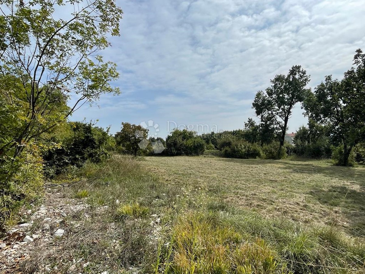 Terreno Šajini, Barban, 953m2