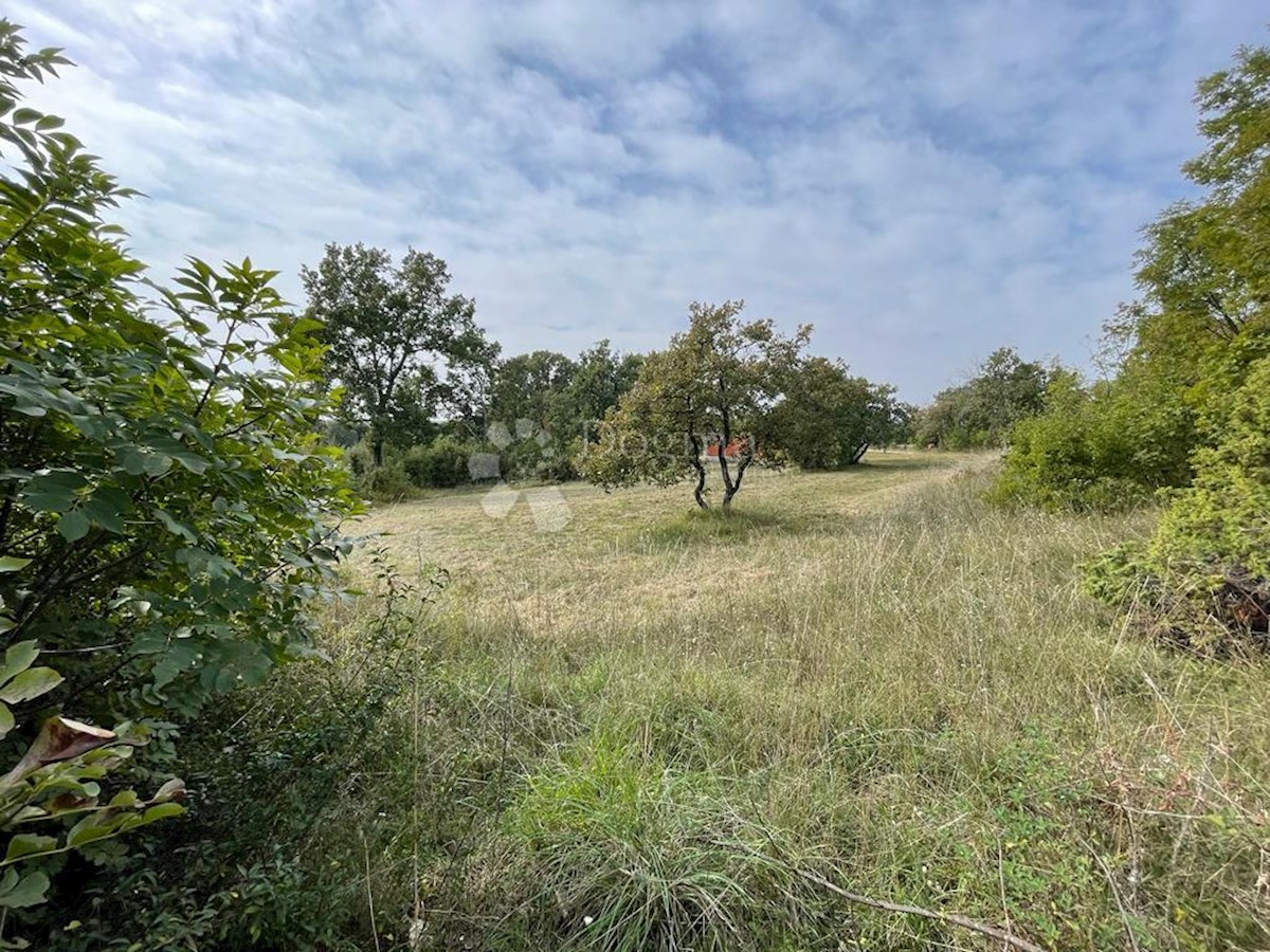 Terreno Šajini, Barban, 953m2